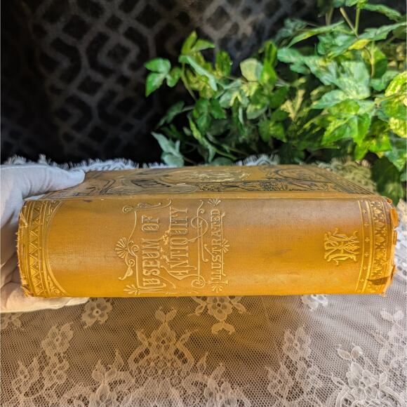 First Edition 1880 MUSEUM OF ANTIQUITY Hardback Book, Clean Pages, Loose Binding - Picture 7 of 10
